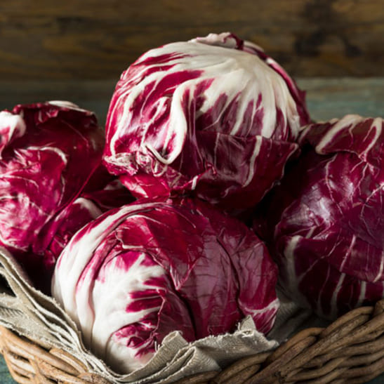 radicchio-800×1000