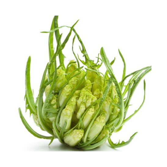 puntarelle